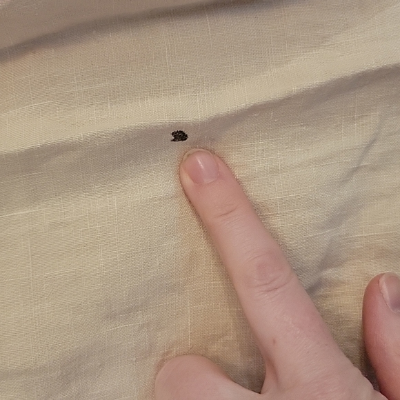 Guess Jeans 100% Linen Tan Pants, Women's Medium, Good Condition! - Picture 2 of 10